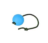 DINGO BIBI Pelota 30 cm Mango Flotante en el Agua Juguete de Goma Relleno para Perros con Cuerda Interna - Ideal para Entrenamiento, Recuperación, Agilidad, Recompensa y Diversión - Azul Celeste 17256