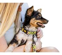 Dingo DO Not Pet Collar de Material Ajustable Control Seguro Cuidado para Necesidades Especiales de Perros Negro/Amarillo, Talla M 15360