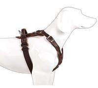 Dingo Gear - Arnés Exclusivo para Perro, Hecho a Mano de Piel Noble, Acolchado de Poliamida, para Perros con Circunferencia de Pecho de 75 a 90 cm, Color marrón Oscuro, Talla L (S01-18)