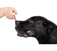 Dingo Gear Bite Tug - Juguete de Piel auténtica Hecho a Mano para Entrenamiento de Perros y Jugar S00229, Color Negro