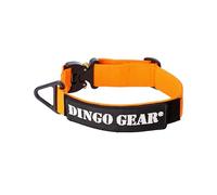 Dingo Gear Collar para Perros Cobra con Hebilla de Seguridad Profesional y Etiqueta Adjunta con Cierre de Tipo Velcro, Perímetro de Cuello 45-63 cm, Naranja (S03938)