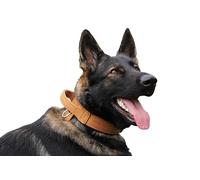 Dingo Gear Collar para Perro Drago de Cuero, Amortiguado con Asa Ancha y Fuerte, Hecho a Mano, Circunferencia del Cuello 56-64 cm, para Entrenamiento y Paseos, Marrón (S03920)