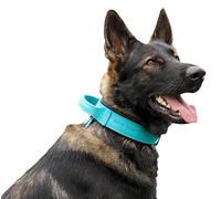 Dingo Gear Collar para Perro Drago de Cuero, Amortiguado con Asa Ancha y Fuerte, Hecho a Mano, Circunferencia del Cuello 48-56 cm, para Entrenamiento y Paseos, Azul (S03918)