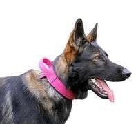 Dingo Gear Collar para Perro Drago de Cuero, Amortiguado con Asa Ancha y Fuerte, Hecho a Mano, Circunferencia del Cuello 40-48 cm, para Entrenamiento y Paseos, Rosa (S03914)