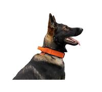 Dingo Gear Collar para Perro Drago de Cuero, Amortiguado con Asa Ancha y Fuerte, Hecho a Mano, Circunferencia del Cuello 56-64 cm, para Entrenamiento y Paseos, Naranja (S03922)