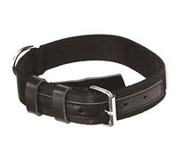 Dingo Gear Collar para Perros Civil de Material, Reforzado y Cosido en Múltiples Capas, con Accesorios Cromados, para Entrenamiento y Paseos, Perímetro de Cuello 40-48 cm, Negro (S04043)