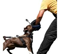 Dingo Gear Manga de Adiestramiento Mini Suave de Nylcot con Asa y Agarre en el Interior de la Protección de Mordida para IGP, K9, Perros Jóvenes, Azul, Nivel de Mordida 1 - Principiante (S01962)