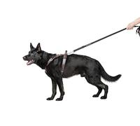 Dingo Gear Predator - Elegante arnés de Cuero para Perro, Hecho a Mano, Cuero auténtico Resistente, Accesorios cromados, Mango Corto, Ajustable, Bronce Fino, Talla M (S02-17)