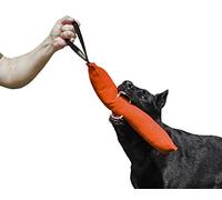 Dingo Gear - Remolcador para Entrenamiento de Perros IGP & Fun, 1 asa, Naranja 45 x 8 cm