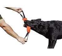 Dingo Gear - Remolque de Nailon para Entrenamiento de Perros IGP IPO Schutzhund para búsqueda ciega de presas para Obtener recompensa, Hecho a Mano de Material francés