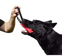 Dingo Gear - Remolque de Nailon para Entrenamiento de Perros IGP IPO Schutzhund para búsqueda ciega de presas para Obtener recompensa, Hecho a Mano de Material francés
