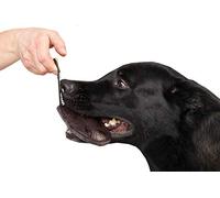 Dingo Gear S00227 - Juguete de Piel auténtica para Entrenamiento y Juego de Perros, Color marrón