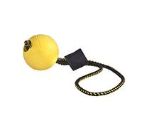DINGO GEAR WWW.DINGOGEAR.COM 1977 Juego magnético para el Entrenamiento del Perro: imán Cubierto y Bola de Goma con Mango magnético