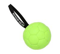 Dingo Gear Z30034 - Juego de bolas hinchables con bomba de bola con correa de piel ecológica, diámetro de 18 cm, juguete de entrenamiento para perros, diversión para perros, color verde neón