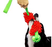 Dingo Juguete Flotador con Pelota con Olor de Vainilla y asa elástica, Hecho a Mano para Jugar, Tirar de la Cuerda, Agilidad, Buscar, adiestramiento en el Agua, Microfibra Rojo 15588-2
