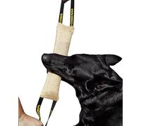 Dingo - Jute para morder
