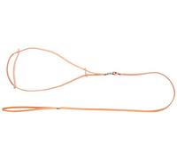 Dingo Smart Fashion for Champion, Leather Show Leash, Natural Lead for Exhibition and Dog Ring Show 10702