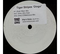 Dingo - Tiger Stripes 12"