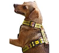 Dingo Waldemar Rutkowski Arnés de protección - Hecho a Mano, Ajustable, Material Reciclado, Negro/Amarillo con Texto de Advertencia DO Not Pet para Paseos más Seguros del Perro, Talla S (95377)