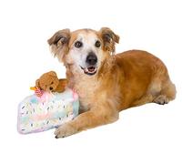 Dingo Waldemar Rutkowski Juguete de Peluche para Perro - Pastelito con Osito y gorrito de cumpleaños, con pitos en el Interior (Z30045)