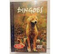 Dingoes: Friend or Foe? - Natural Killers Predators Close-Up No:16 DVD