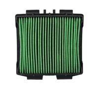DINGYIG Filtro Aire Motocicleta para CRF300L para CRF300RL para Rally 2021-2024 Limpiador De Admisión Aire Motocicleta Piezas del Filtro Motor(Color2)