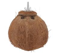 DINHEAROM Nido Hecho de Cáscara Natural Marrón para Pájaros Pequeños Juguete Seguro y Práctico para Loros Que Les Gusta Morder, Adecuado para Jaulas de Mascotas