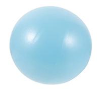 DINHEAROM Pelota de Profesional 25Cm Pelota de Yoga Reutilizable Material de PVC Multiusos para Entrenamiento Ejercicio Gimnasio Yoga y Estiramientos