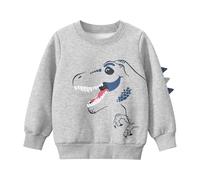 Dino Sudadera con capucha para niños con forro polar cálido con estampado de manga larga, suave y cómoda, ropa de juego informal, Gris claro., 6-7 años
