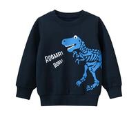 Dino Sudadera con capucha para niños con forro polar cálido, sudadera con capucha con estampado de manga larga, parte superior suave, ropa deportiva informal, para niños pequeños y adolescentes, azul