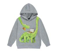 Dino Sudadera con capucha para niños de manga larga con estampado lúdico, acogedora chaqueta de forro polar como parte superior deportiva informal, gris, 9 años
