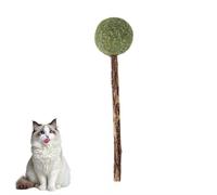 Dinosaur Catnip Lollipop Holder for Cat,Cute Catniplollipops Interactive Cats Toy,Creative Press-to-Store Catnip Toy,Interactive Cat Lollipop Treats,for Indoor Cats Kittens Chew and Relief