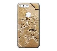 Dinosaur Fossil Funda Carcasa Case para Google Pixel