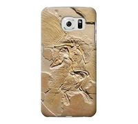 Dinosaur Fossil Funda Carcasa Case para Samsung Galaxy S6 Edge