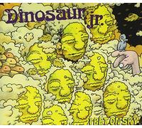 Dinosaur Jr. - I Bet On Sky