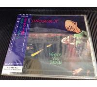 Dinosaur Jr. - Where You Been