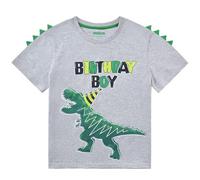 Dinosaurio Camiseta de Cumpleaños Niño Pequeño Camisas Dino T Shirt Regalos Algodón T-Rex Gráfico Manga Corta Gris Impreso T-Shirt Atuendos por Niños (Gris, 2-3 años)