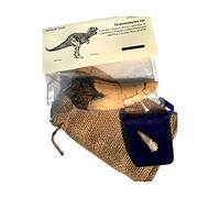 DINOSAURS ROCK Réplica de dientes de Tyrannosaurus Rex, T-Rex, además de dientes de dinosaurio fósil genuinos