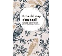 Dins del cap d'un ocell