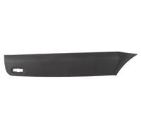 Dintel Listón Protector Trasero Derecha para : Mercedes Sprinter 906