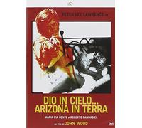 dio in cielo arizona in terra [Italia] [DVD]