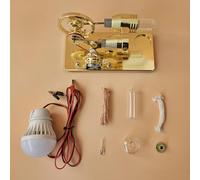 Dioche Hot Air Stirling Modelo de Generador de Electricidad con Motor Stirling de Aire Caliente con Bombilla LED, Experimento Científico de Bricolaje, Kit Educativo para Estudiantes y Profesores