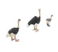 Dioche Juguetes Coleccionables Que Enseñan un Juguete de Avestruz Pintado a Mano - Exquisita Figura de Animal con Artesanía - Ideal para Juegos Infantiles, Decoración del Hogar y Uso Educativo