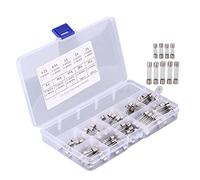 Dioche Kit de Tubos de Vidrio para Coche, Surtido de 100 Uds., 520mm y 630mm, con 10 Valores de Amperios Diferentes para Circuito
