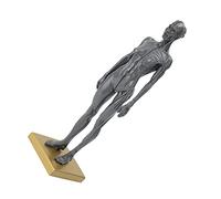 Dioche Modelo Anatómico Musculoesquelético Humano Escultura de Resina Detallada Femenina para Enseñanza y Estudio de Arte Herramienta de Demostración de Anatomía de Tamaño de 30 Cm