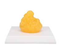 Dioche Réplica de Grasa Corporal Humana: Modelo de Demostración de Tejido Adiposo Humano y Herramienta de Motivación para la Pérdida de Peso Adecuada para Cursos de Anatomía nutricionista.