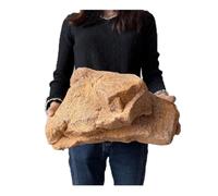 Diodceraic Fake Rocks (Non-Hollow) Artificial Landscape Enclosure Stone PU Foam Fake Rocks for Landscaping Fake Rocks Well Covers for Yard Decorative(Yellow,2)