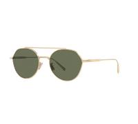 DIOR Hombre Sunglass Diorblacksuit R6U Dm40112U - Color del Marco: Oro Brillante, Color de la Lente: Verde