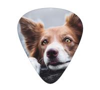 Dios Bokeh de Border Collie Marrón con Ojos Amarillos,12 púas de guitarra, 3 grosores diferentes para guitarra acústica, bajo y ukelele