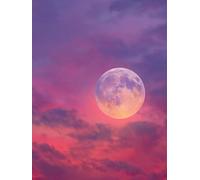 Dipingere con i Numeri Adulti Kit Fai-da-Te Acrilico Bellissima stella Pennelli Pittura su Tela 40x50cm Senza Cornice Facile Bambini Principianti Decorazione Murale Ufficio Casa Regalo Creativo G-931